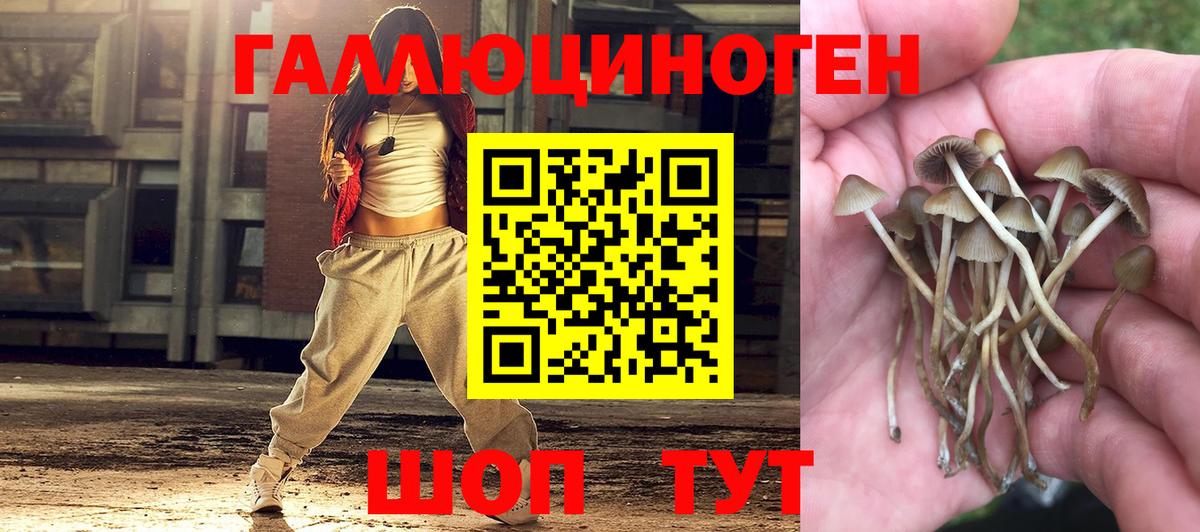 Марихуана  Гашиш  Вход с VPN  Екатеринбург  МЕФ  