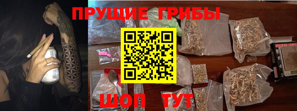 Галлюциногенные грибы Cubensis Екатеринбург